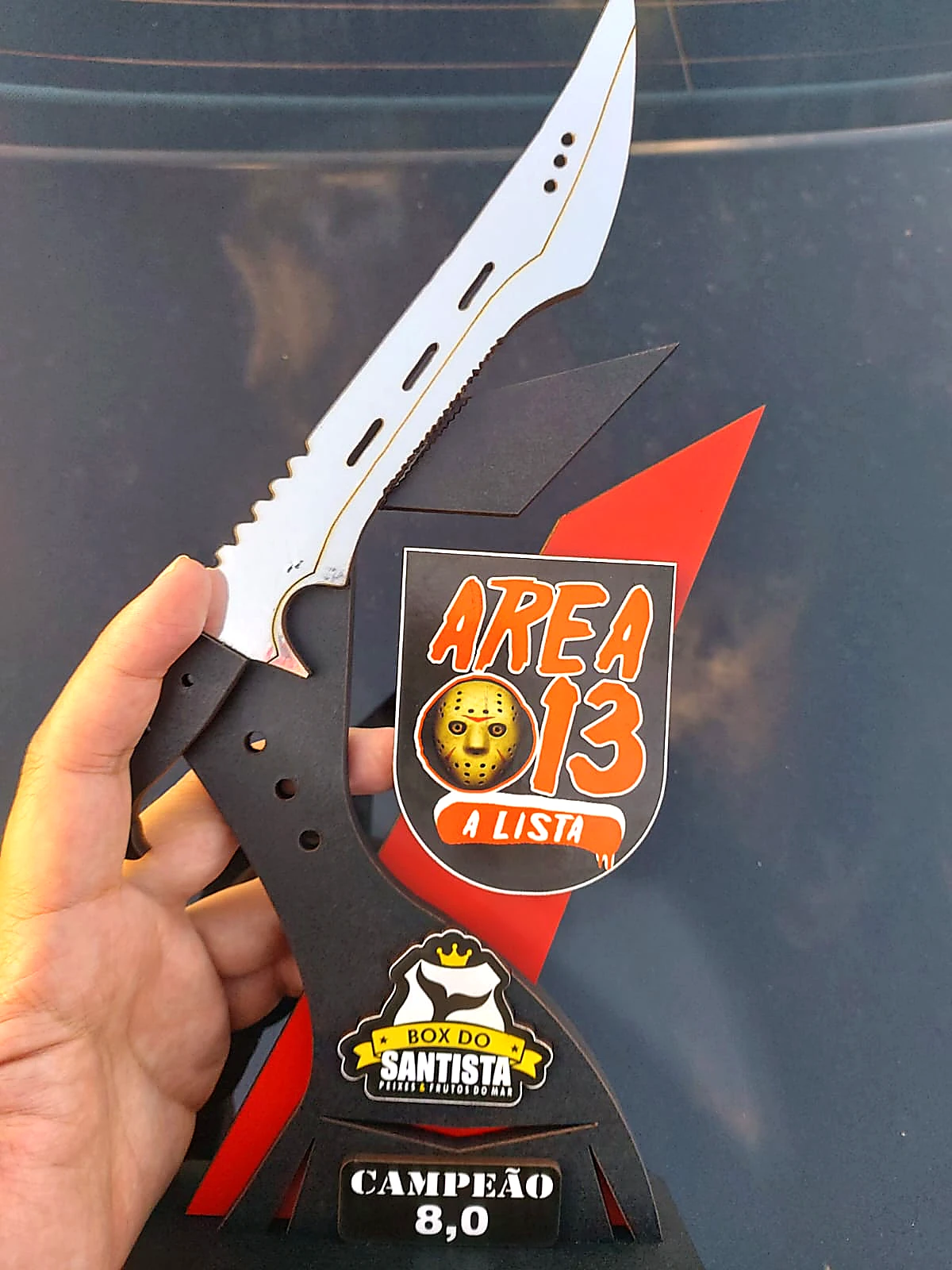 Troféu Área 13 campeão 8,0